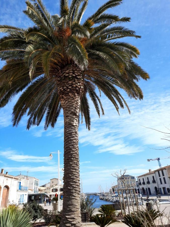 Appartement De Charme Sur Le Port De Marseillan Екстер'єр фото