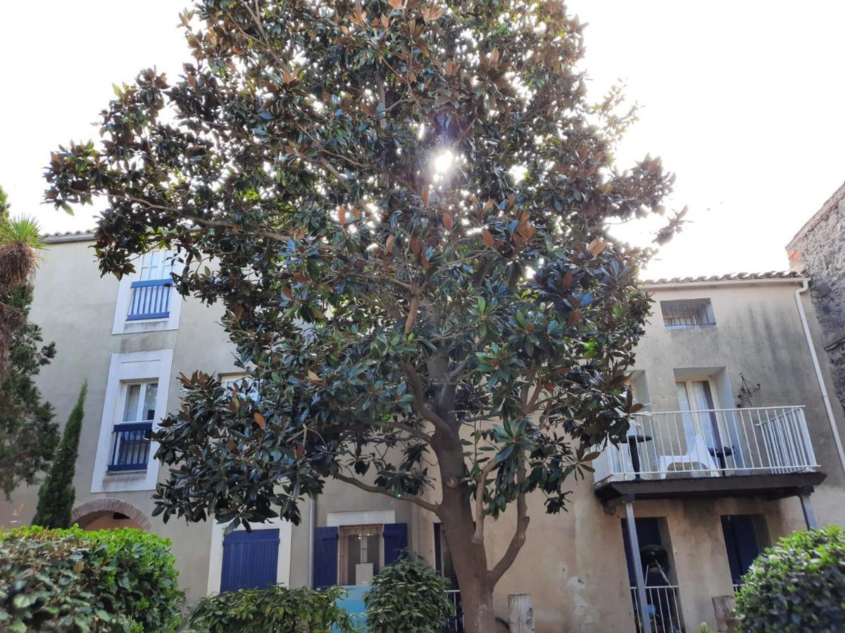 Appartement De Charme Sur Le Port De Marseillan Екстер'єр фото